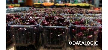 Cerima Cherries investe in Datalogic per la tracciabilità delle proprie ciliege - Datalogic